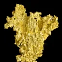 Gold - image 2