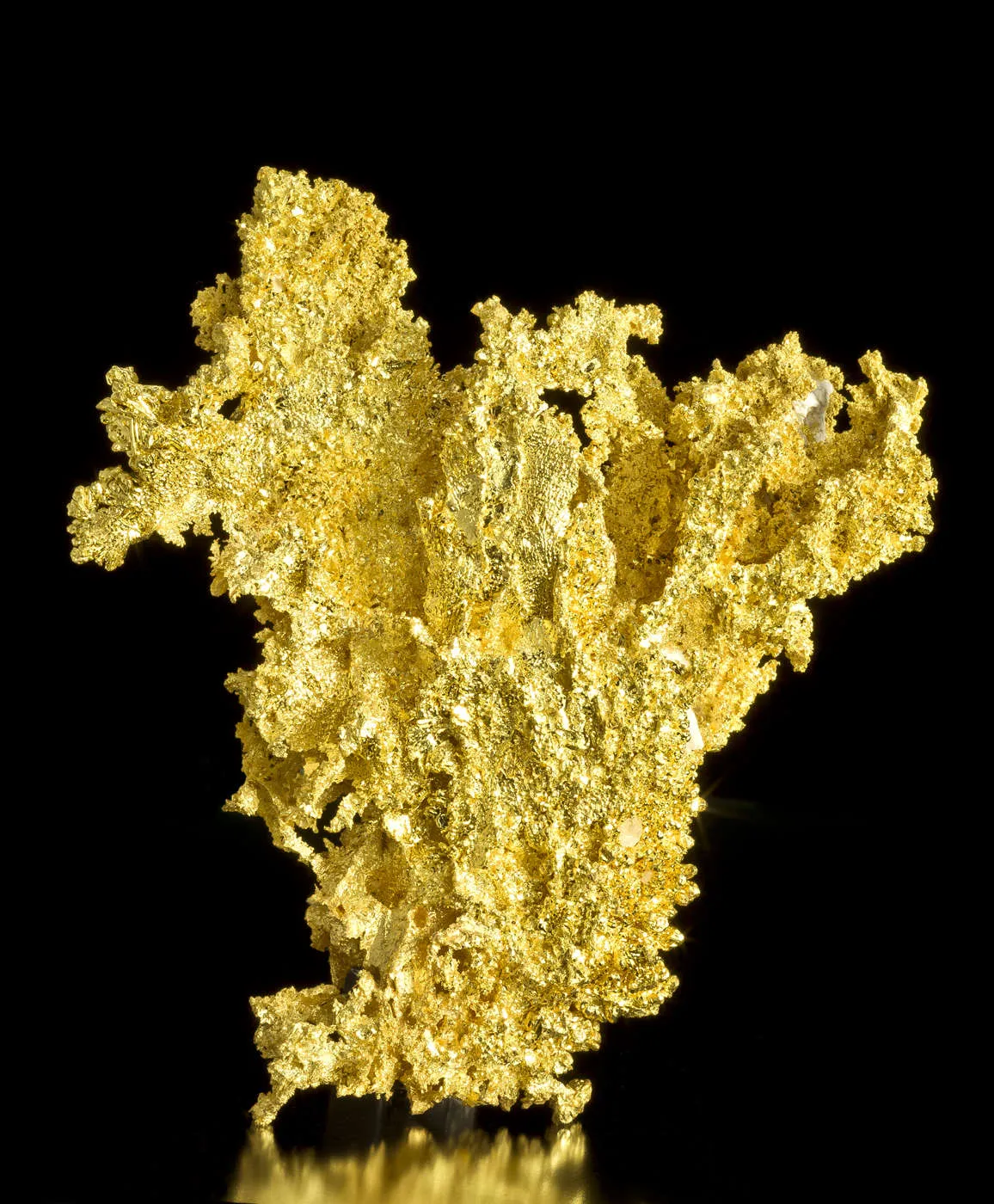 Gold - image 2