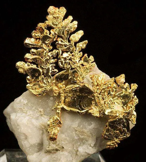 Gold image
