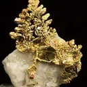 Gold - image 1