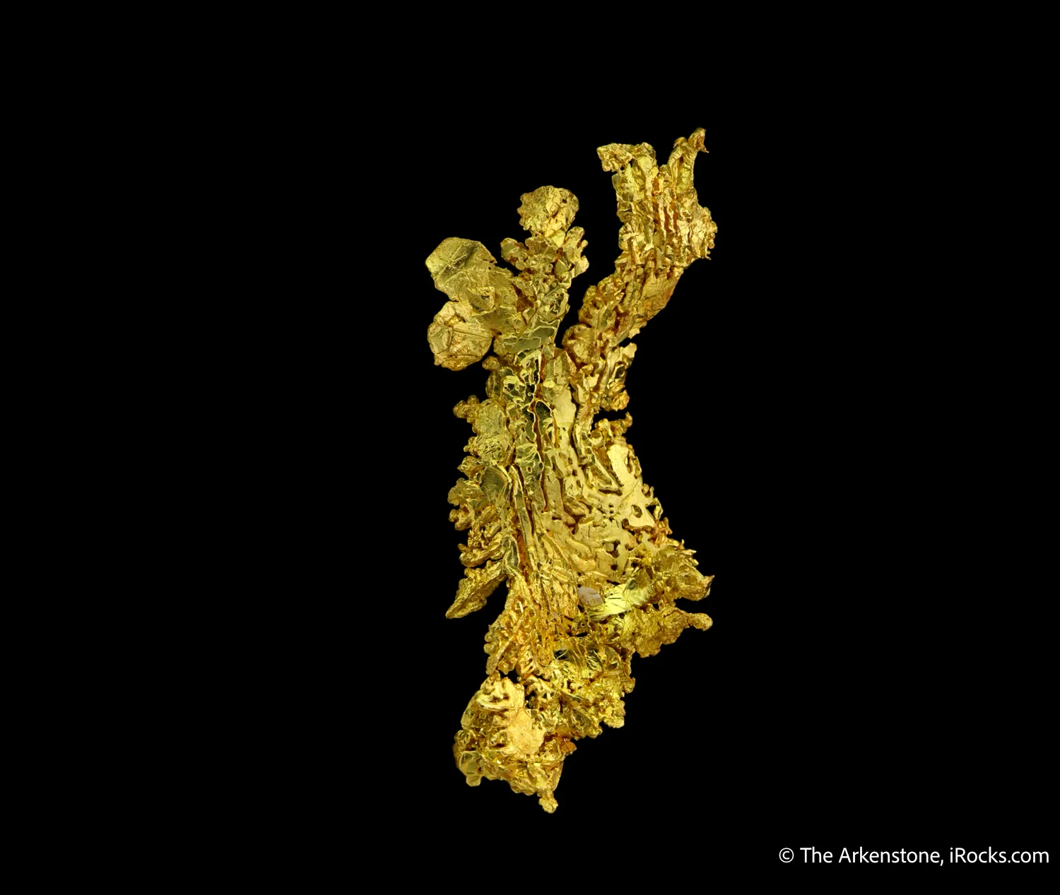 Gold - image 4