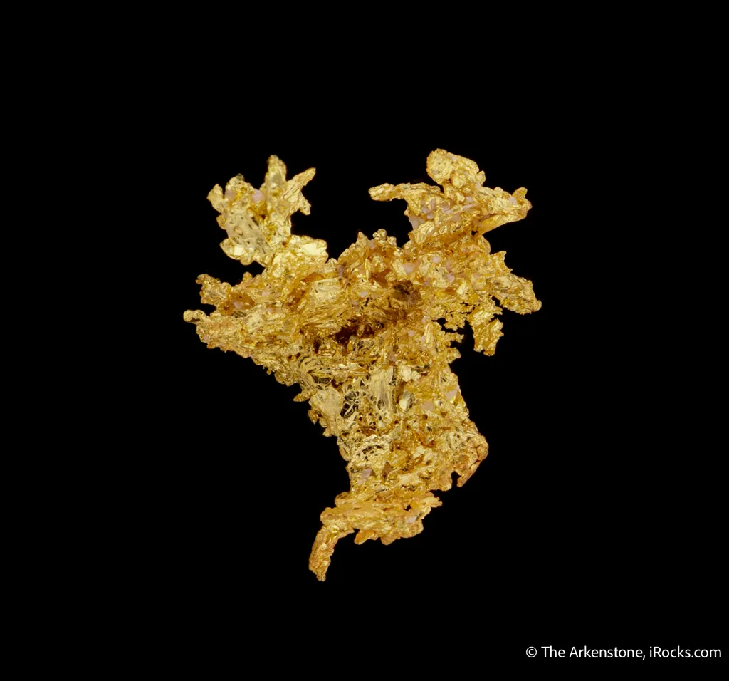 Gold - image 4