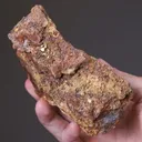Gold - image 2