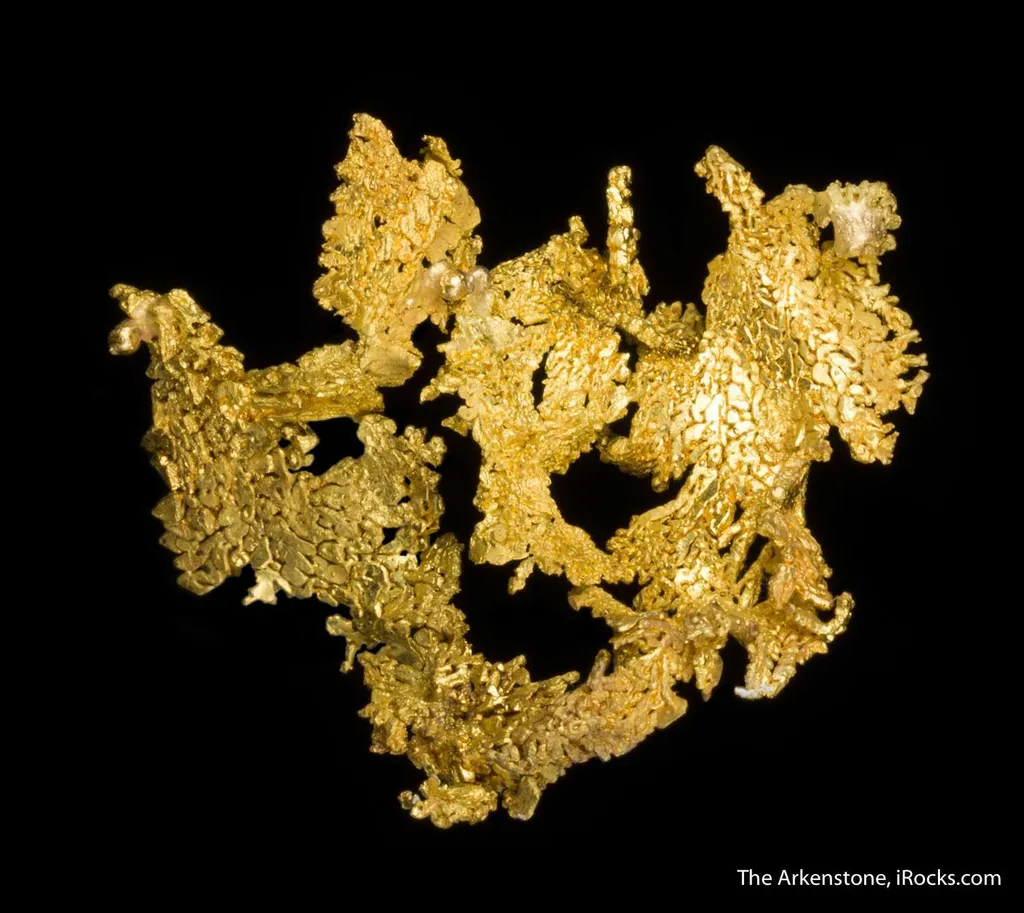 Gold - image 5