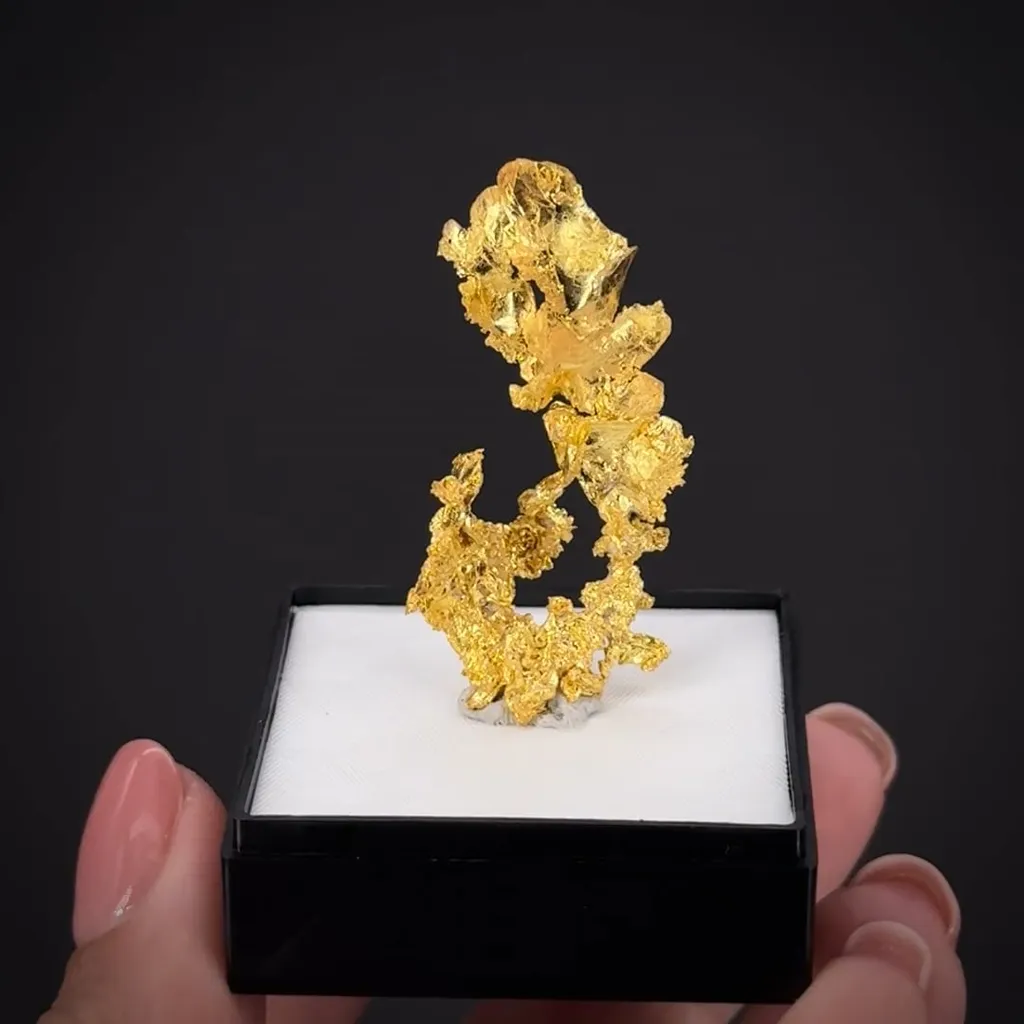 Gold - image 2