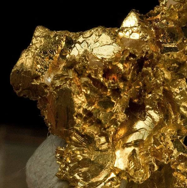 Gold - image 2