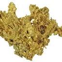 Gold - image 4