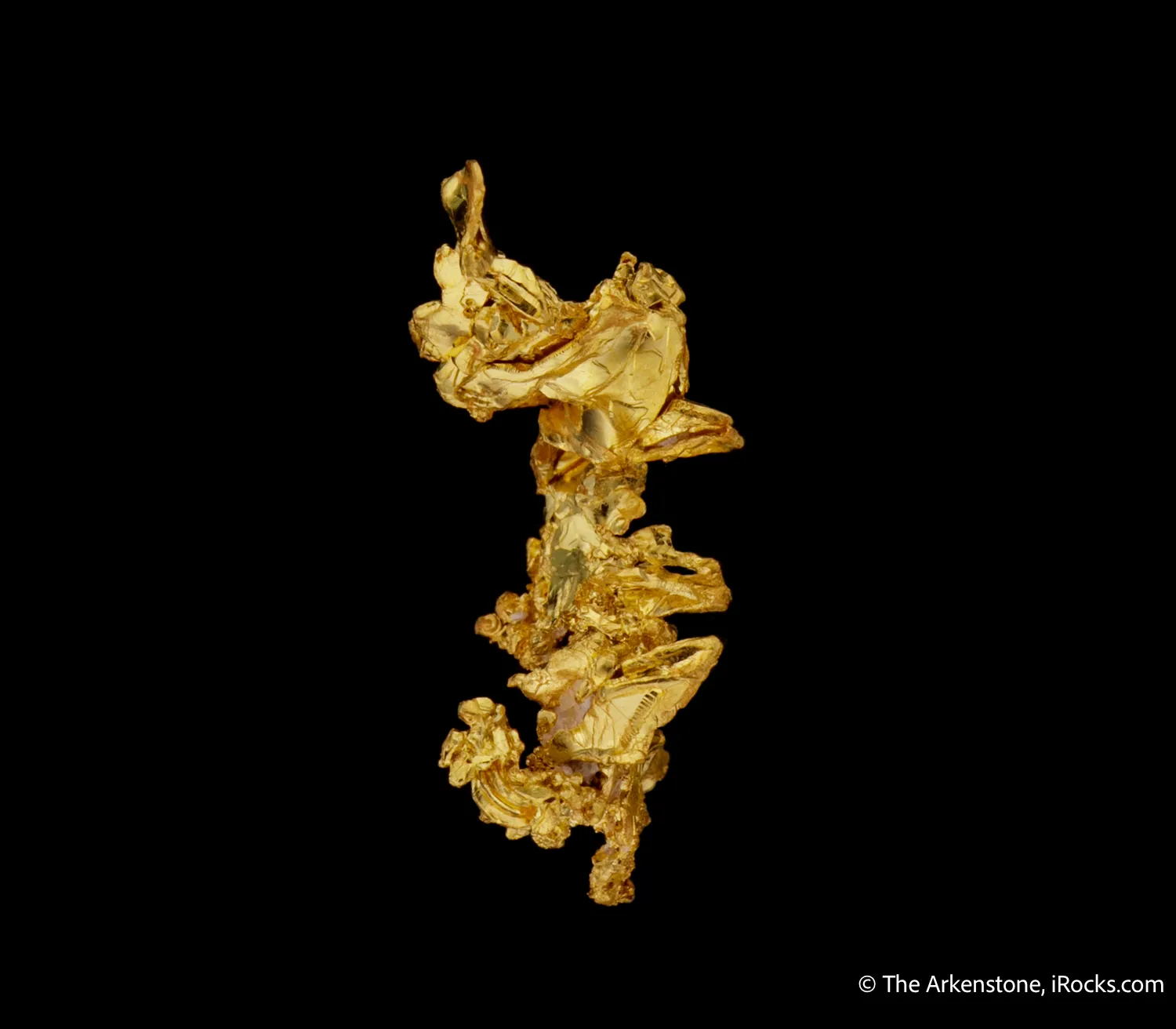 Gold - image 4