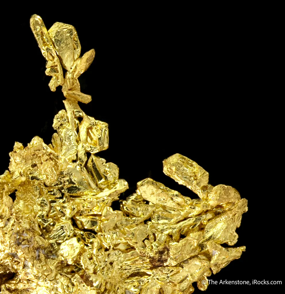 Gold - image 5