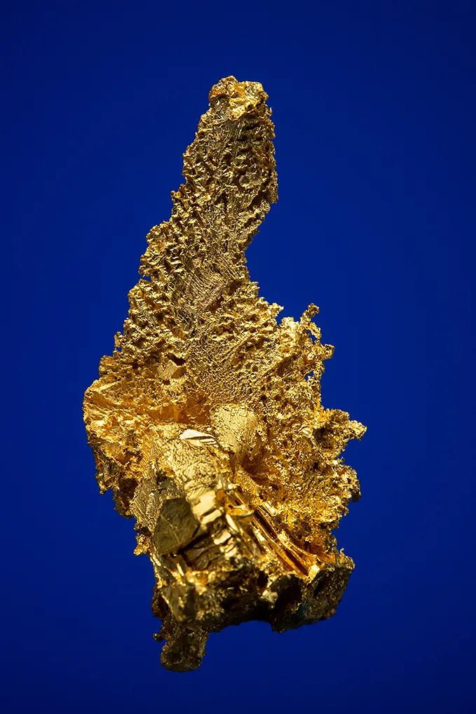 Gold image
