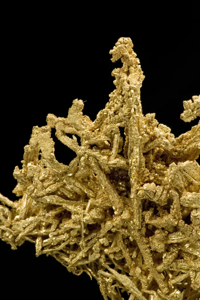 Gold - image 4