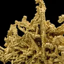 Gold - image 4