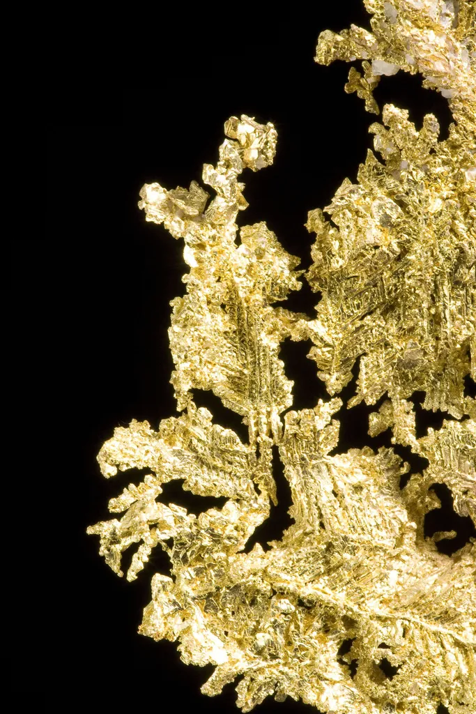 Gold - image 3