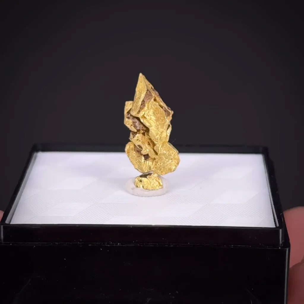 Gold - image 2
