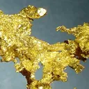 Gold - image 2