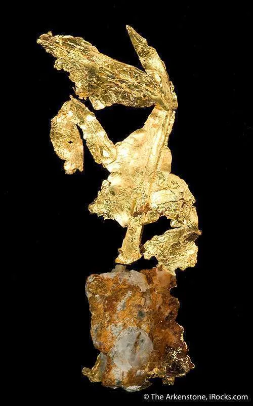 Gold - image 3