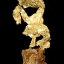 Gold - image 3