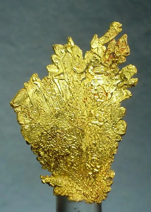 Gold - image 2