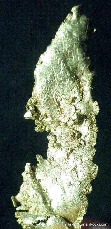 Gold image