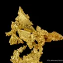 Gold - image 4