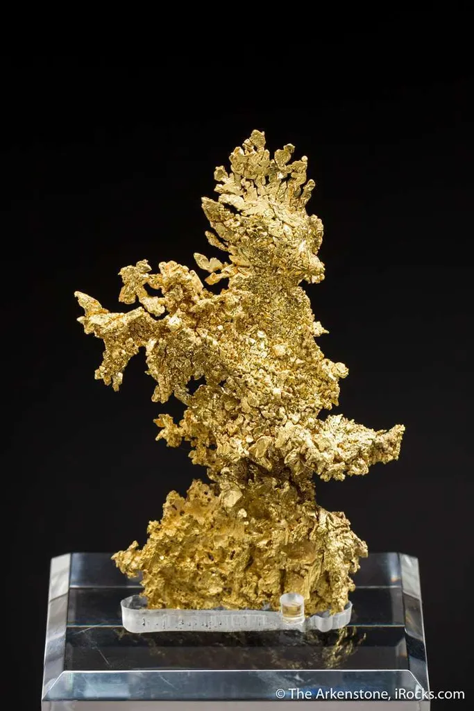 Gold - image 2
