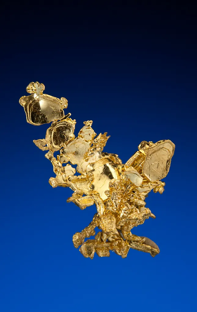 Gold image