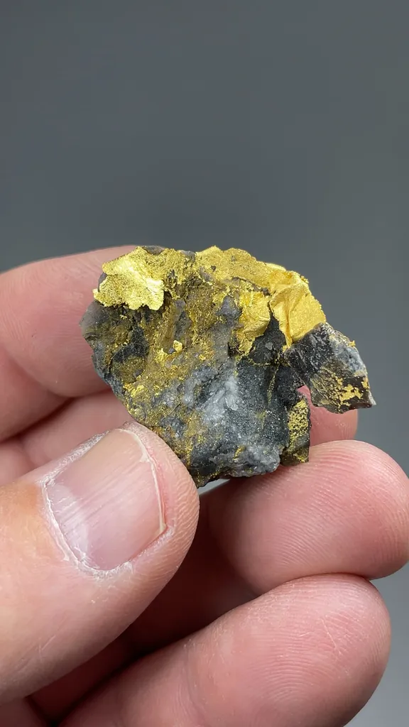 Gold - image 2