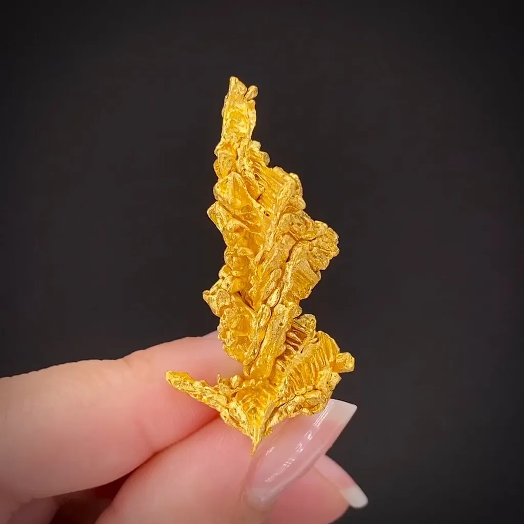 Gold - image 2