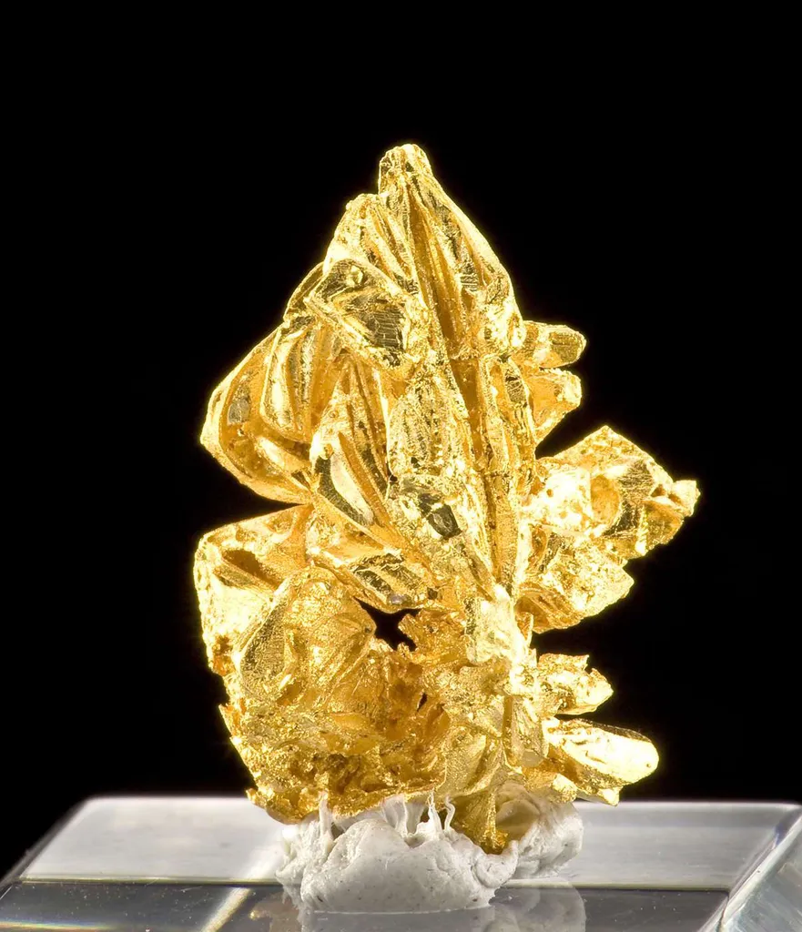 Gold - image 3