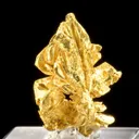 Gold - image 3