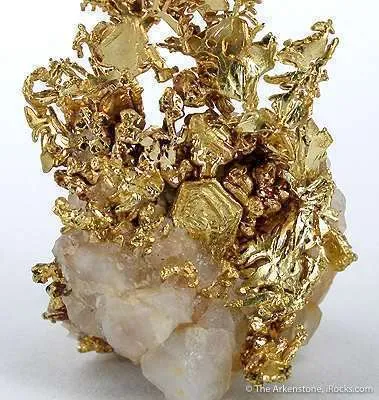 Gold - image 4