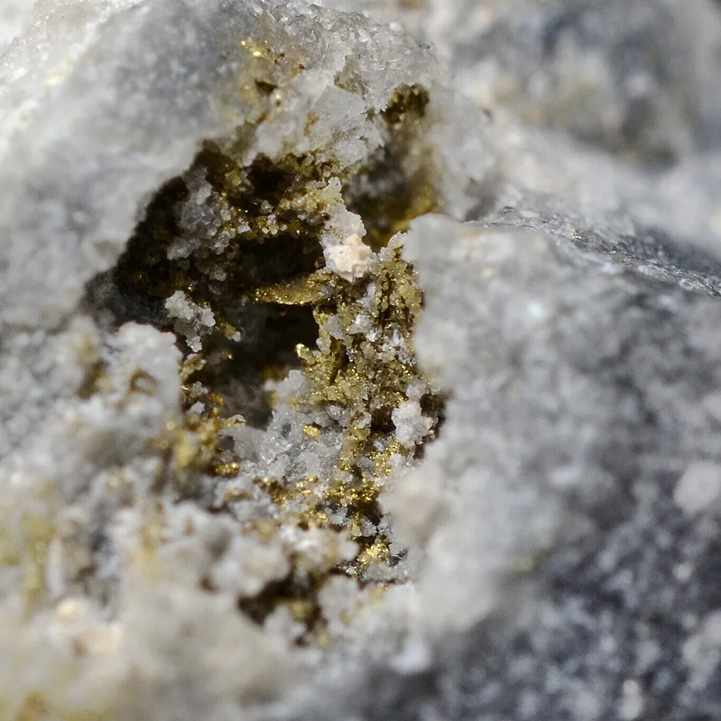 Gold - image 8