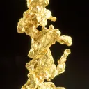 Gold - image 2
