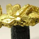 Gold - image 1