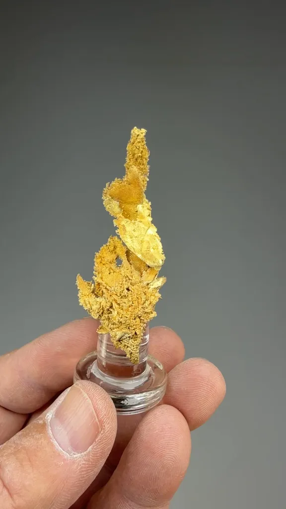 Gold - image 2