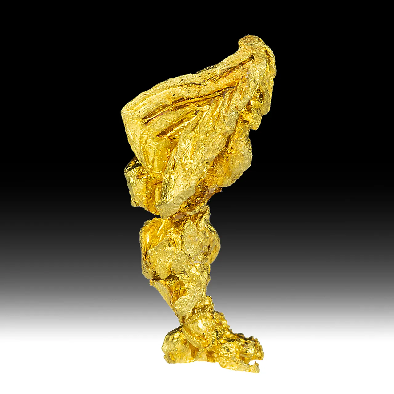 Gold - image 1