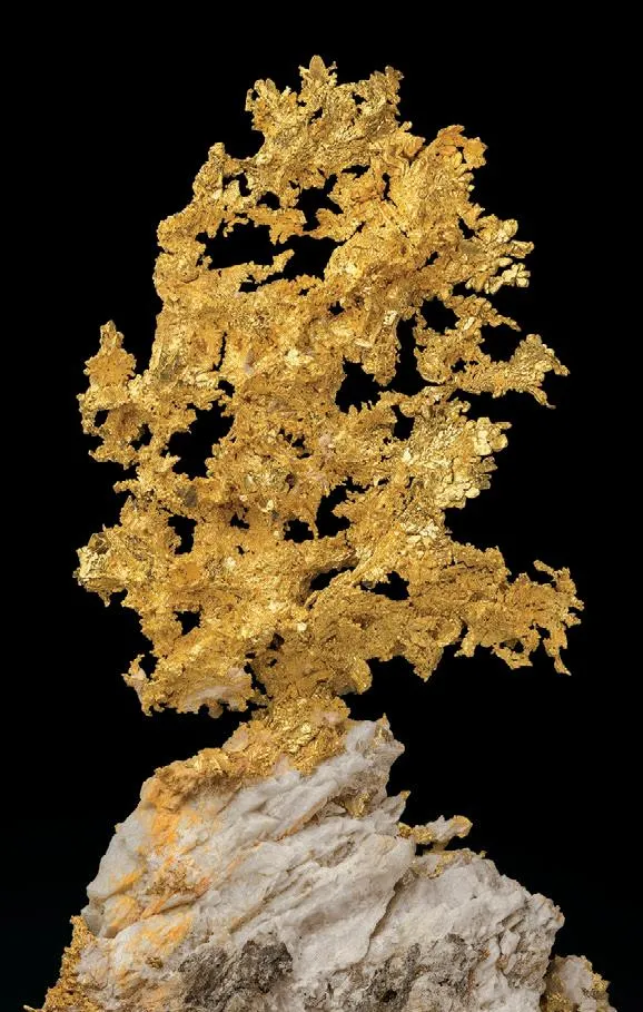 Gold image