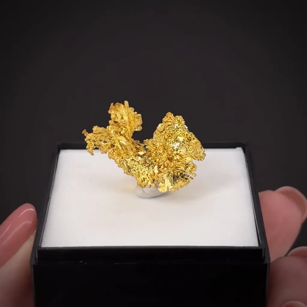 Gold - image 2