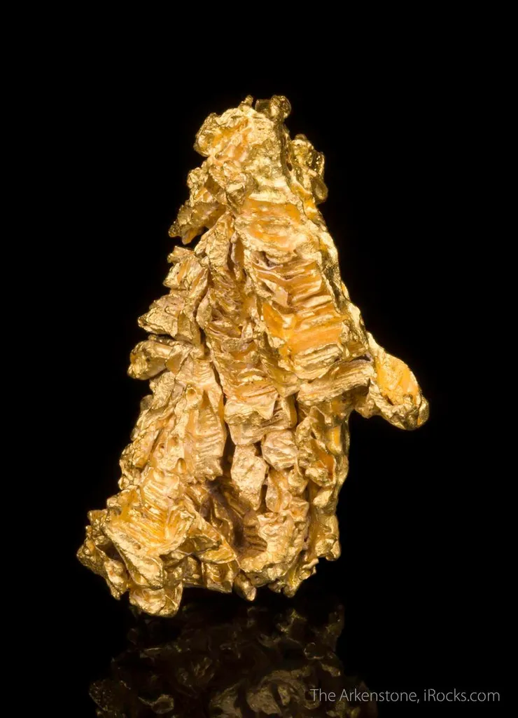 Gold - image 2
