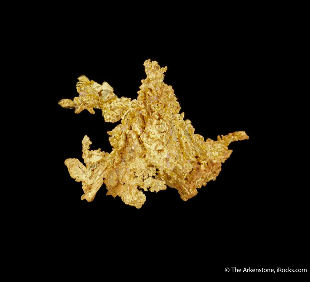 Gold - image 5