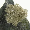 Gold - image 2