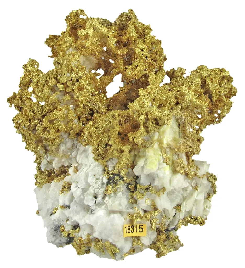 Gold - image 3