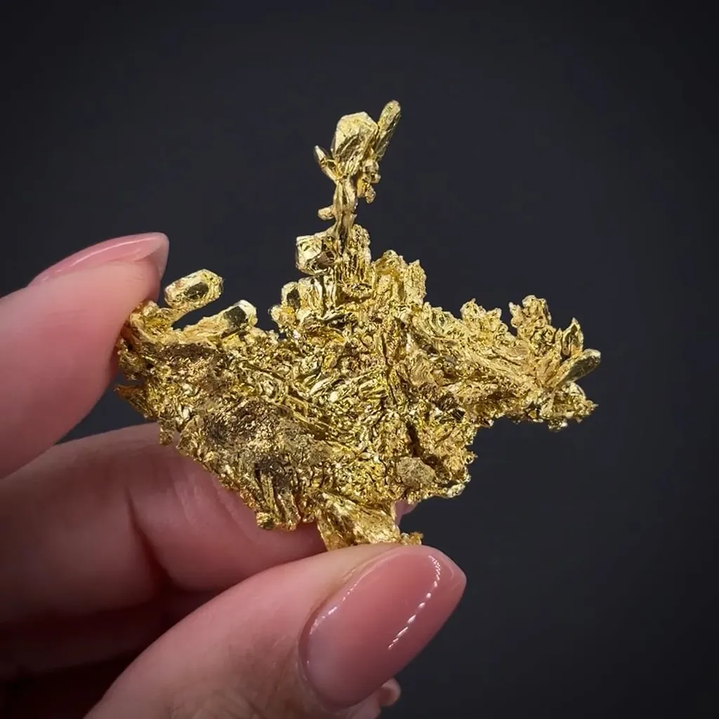 Gold - image 2