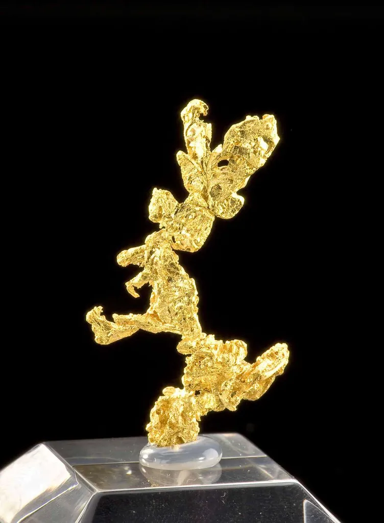 Gold - image 3