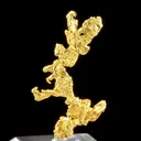 Gold - image 3