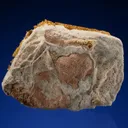Gold - image 5