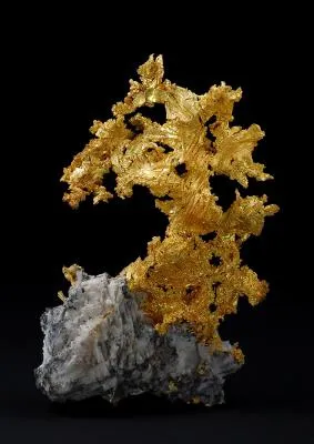 Gold - image 3