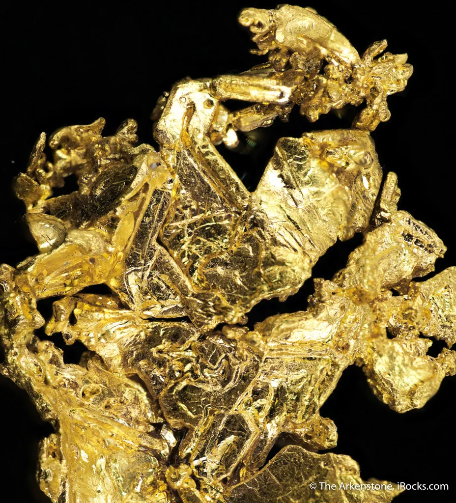 Gold - image 2