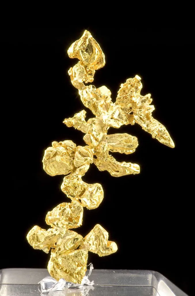 Gold - image 2