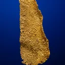 Gold - image 3